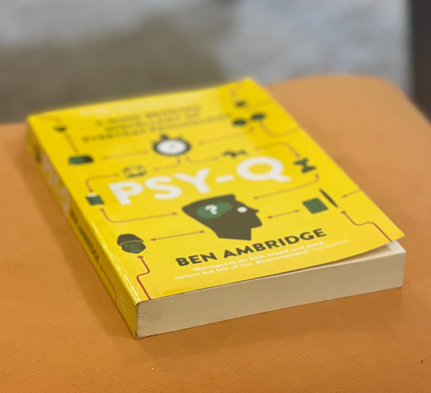 Psy-Q: A Mind-Bending Miscellany of Everyday Psychology
