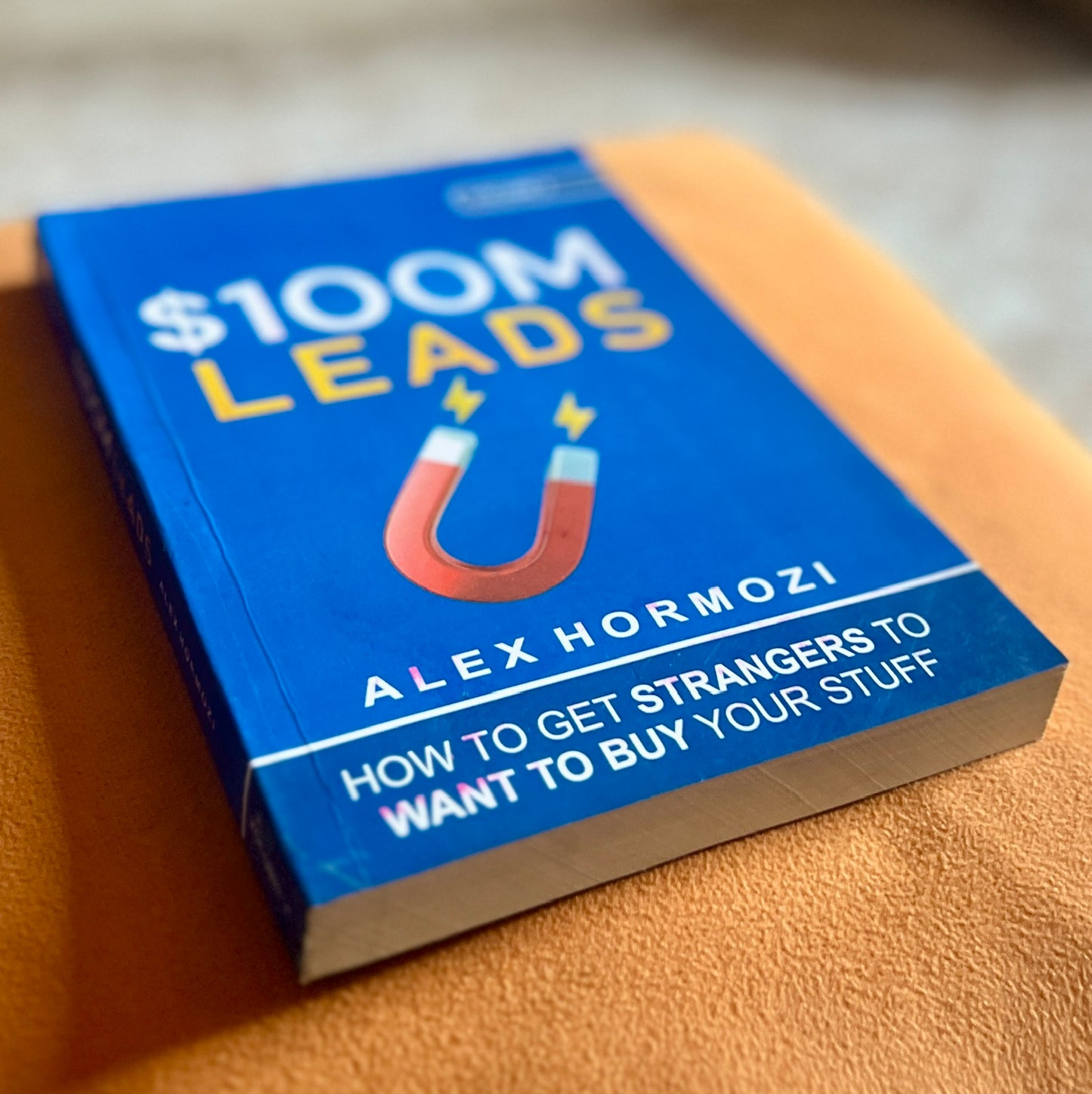 $100M Leads: How to Get Strangers to Want to Buy Your Stuff