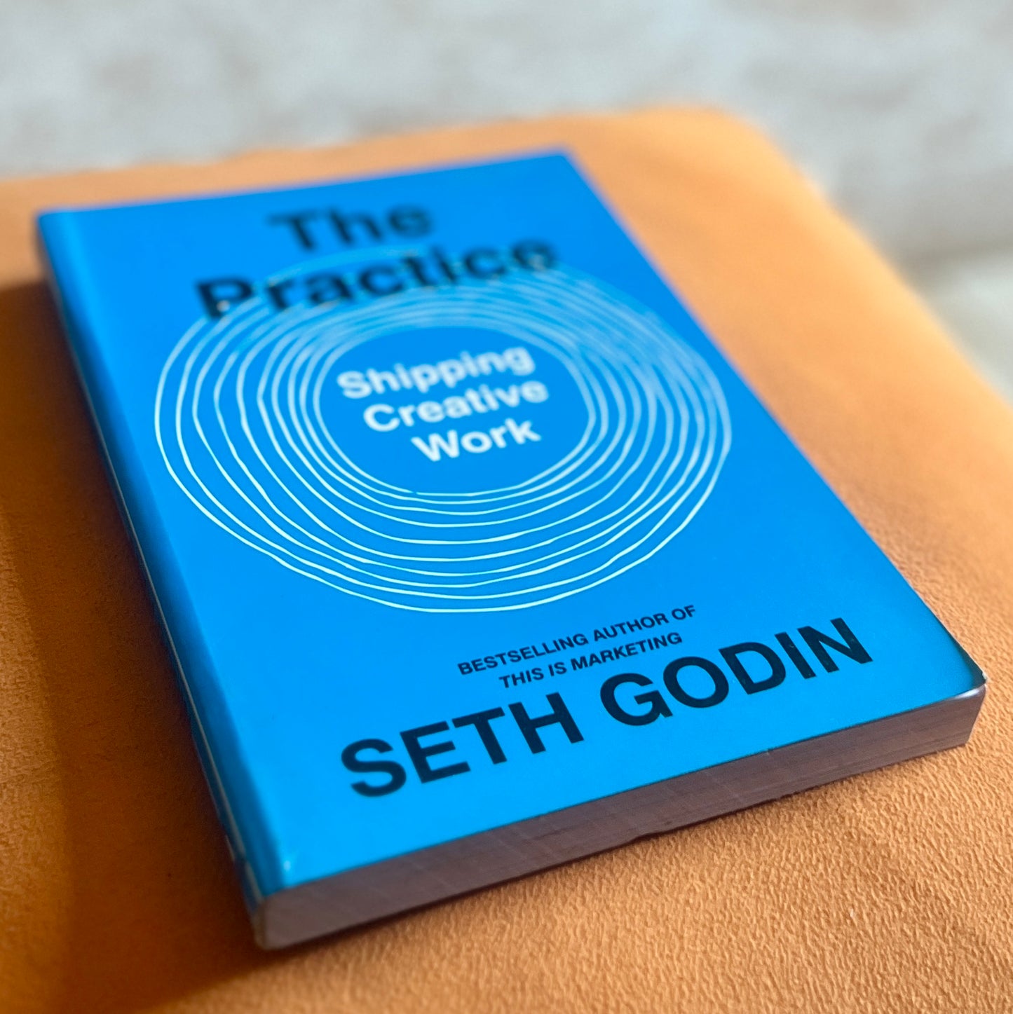 The Practice: Shipping Creative Work