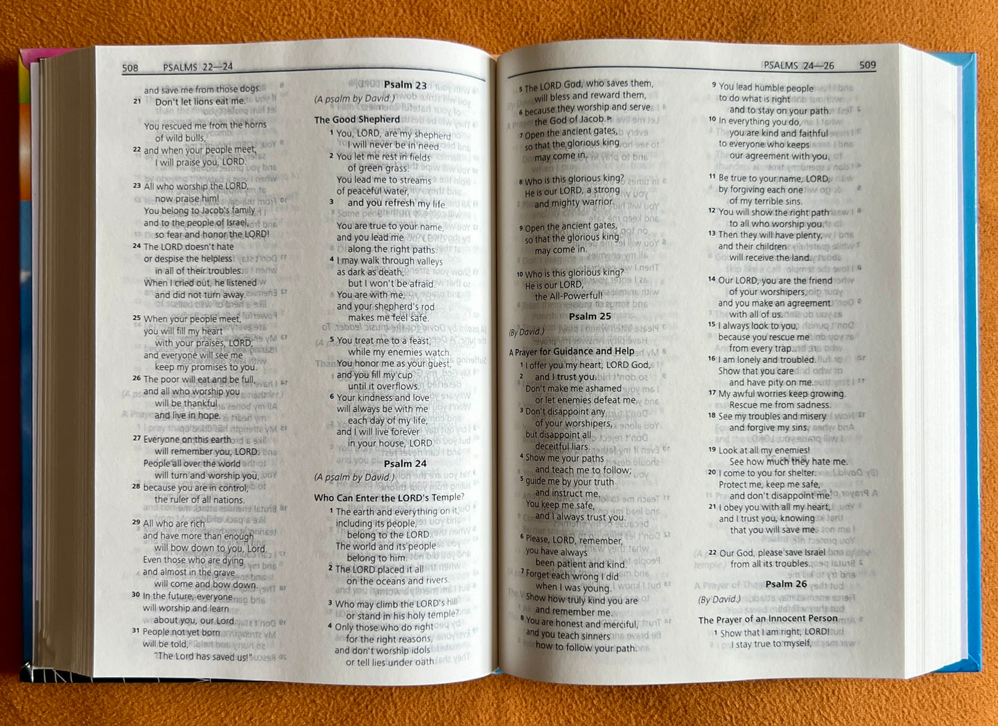 Youth Bible Contemporary English Version