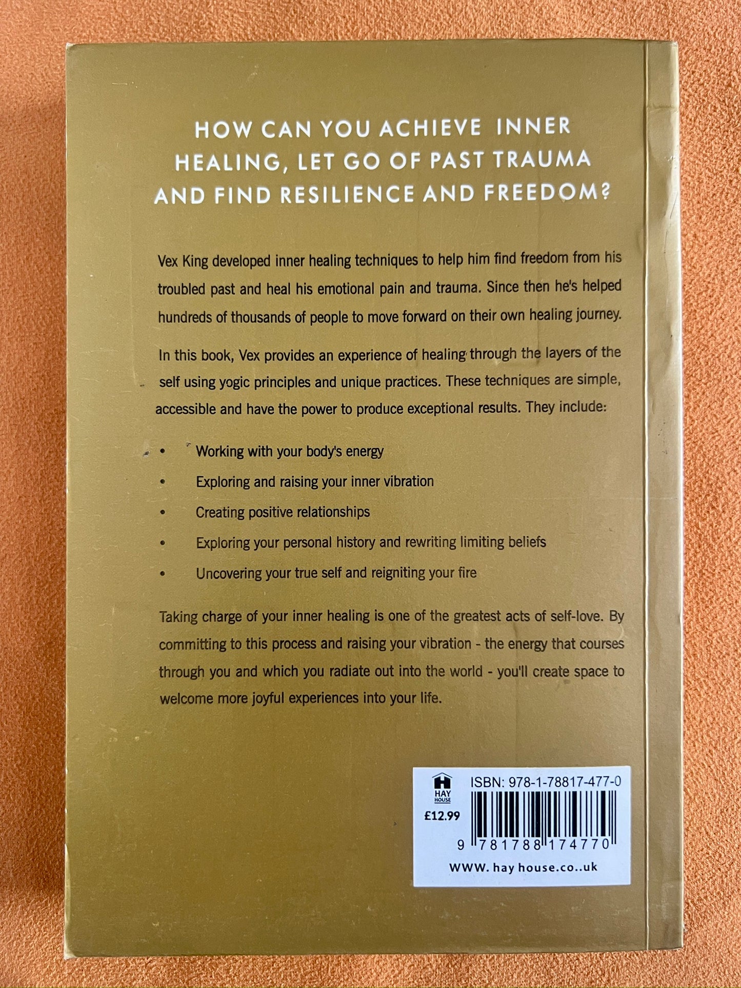 Healing Is the New High: A Guide to Overcoming Emotional Turmoil and Finding Freedom