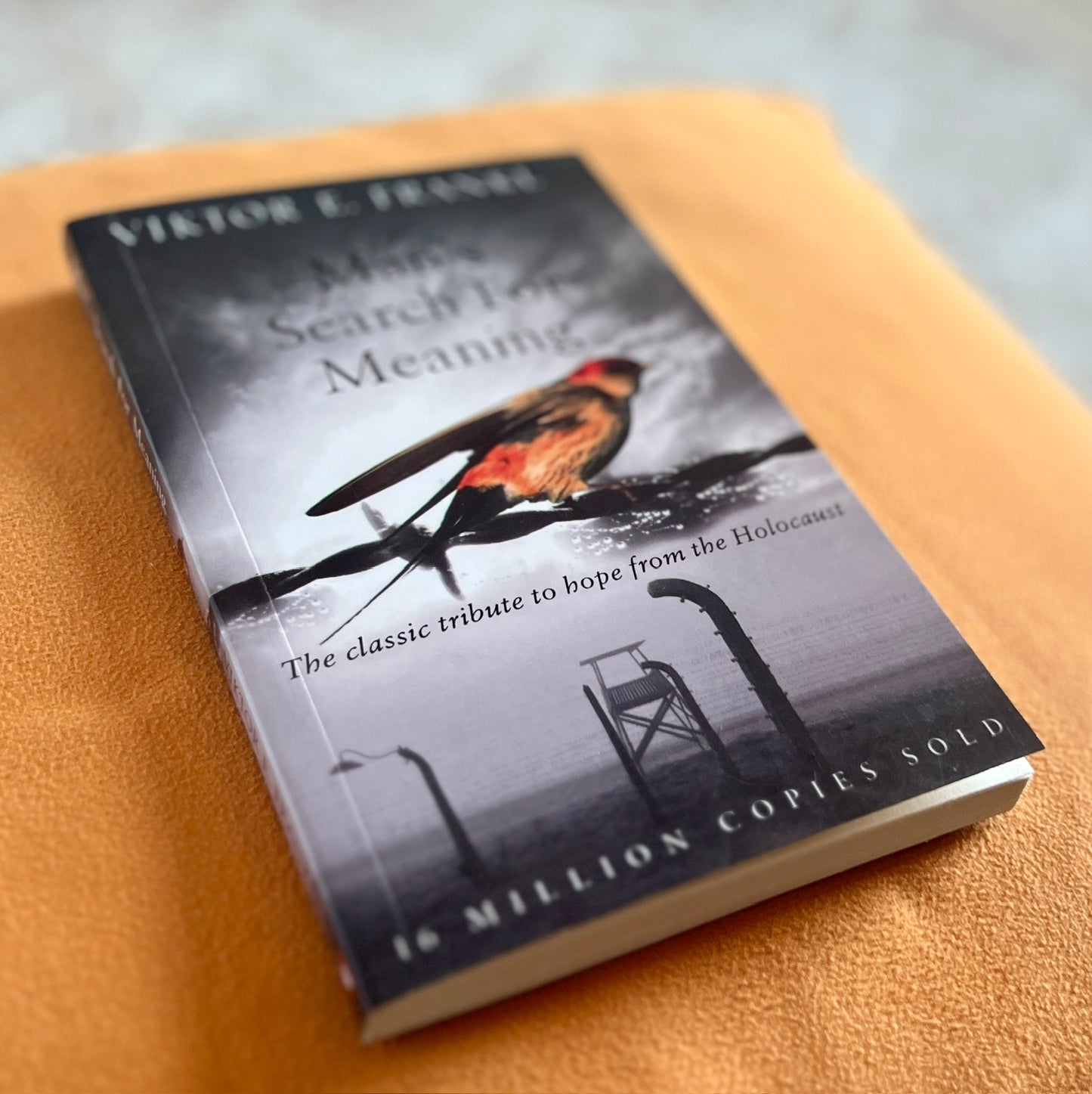 Man's Search for Meaning