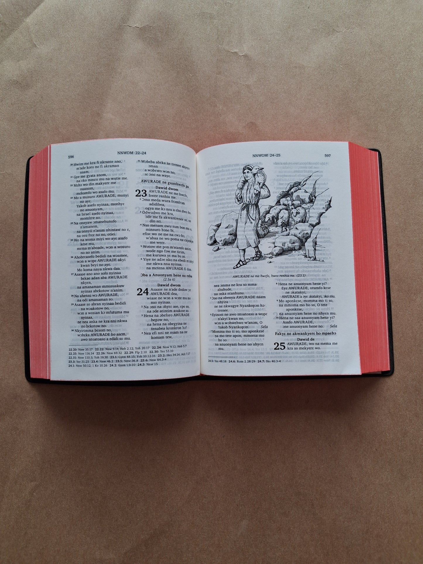 Akuapem Twi Bible (Kyerɛw Kronkron)