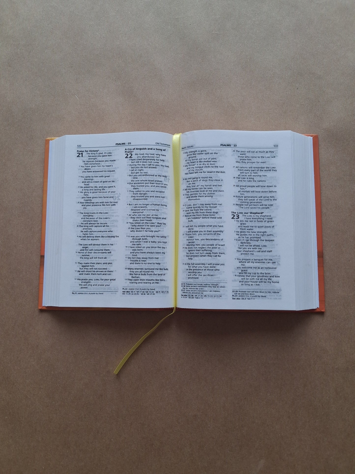Sunrise Good News Bible (Small)