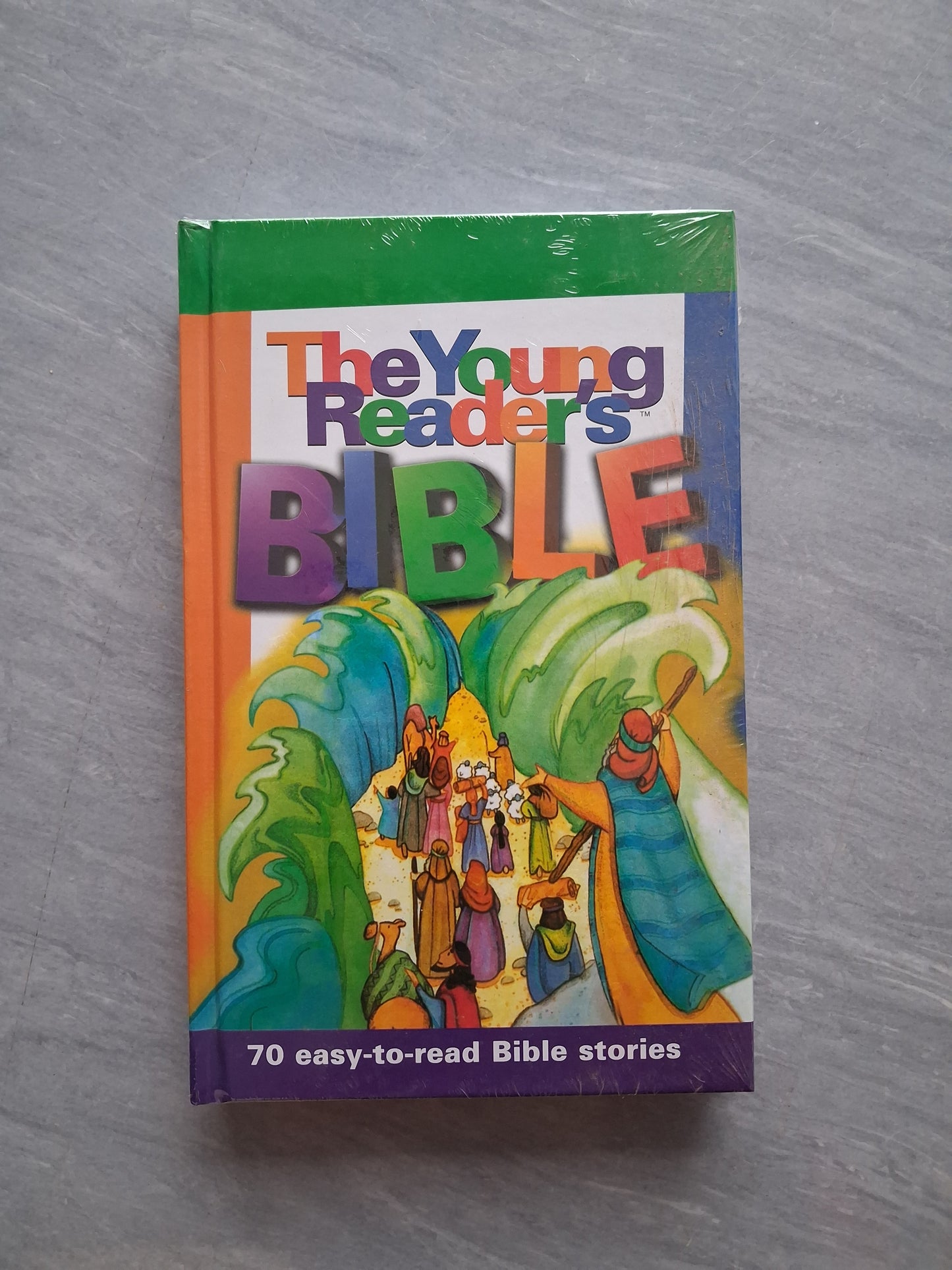 The Young Reader's Bible