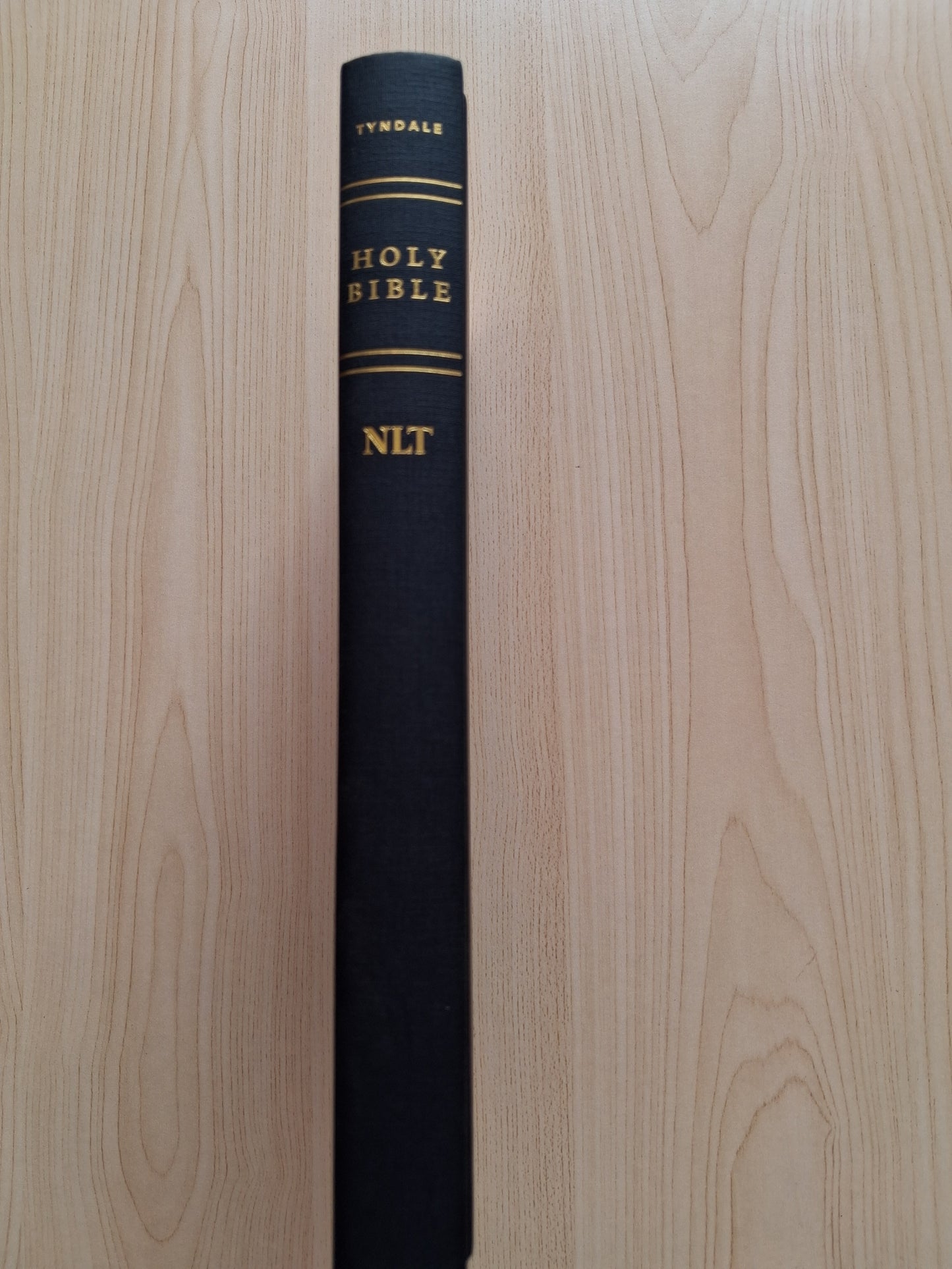 New Living Translation Holy Bible