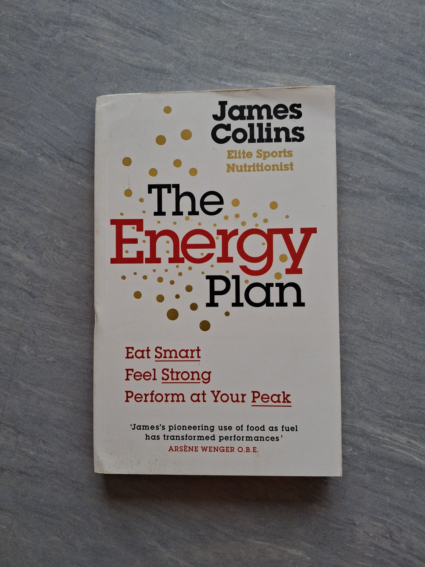 The Energy Plan