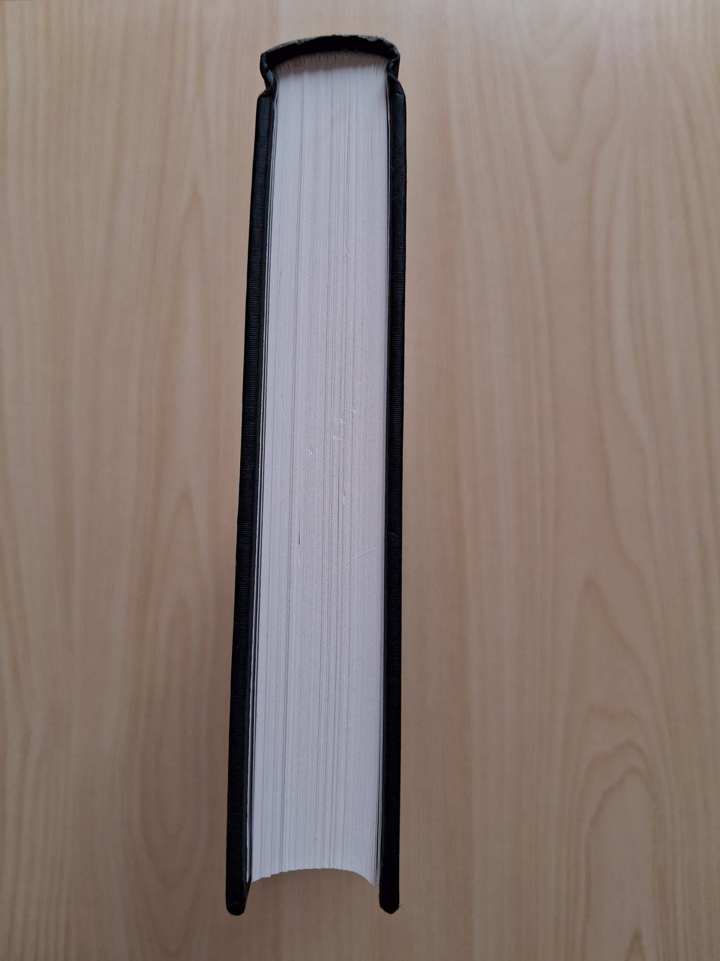 New Living Translation Holy Bible