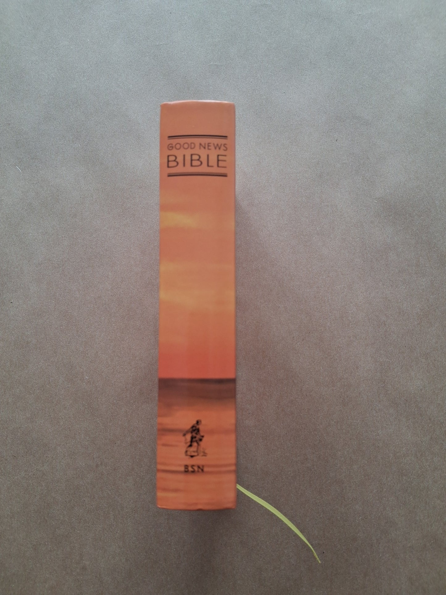 Sunrise Good News Bible (Small)