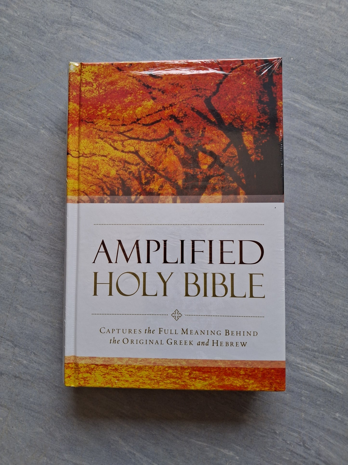 Amplified Holy Bible